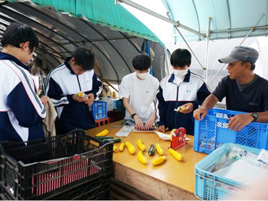 笠間民家体験|教育旅行